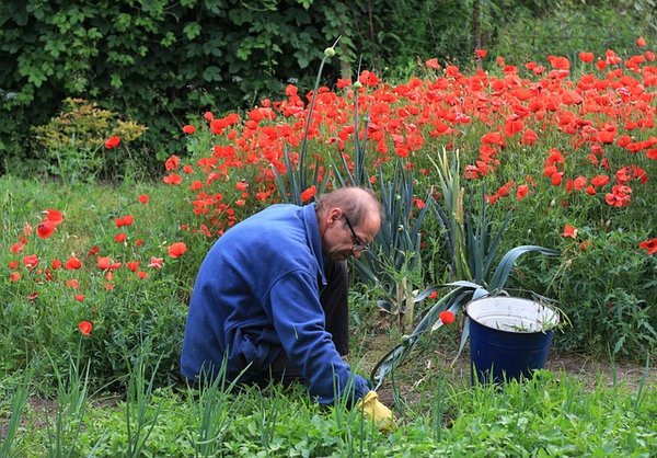 Désherbant naturel : préparez vinaigre et sel facilement